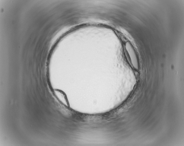 X0000087751183200706041054