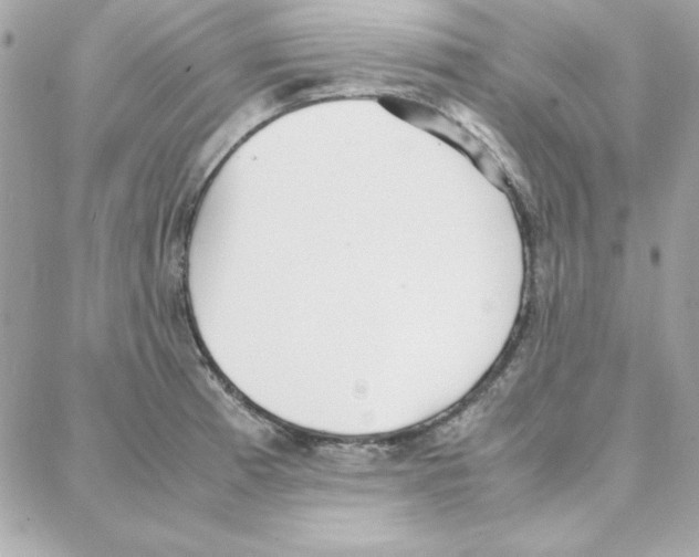 X0000087751185200706041054