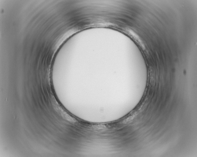 X0000087751186200706041054