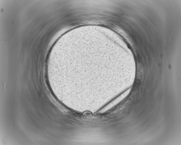 X0000087751187200706041054