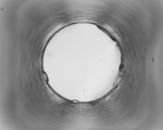 X0000087751189200706041054