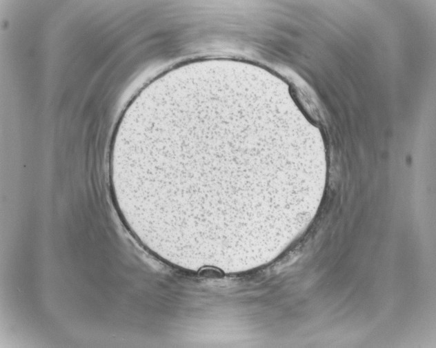 X0000087751191200706041054