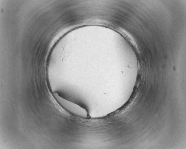 X0000087751192200706041054