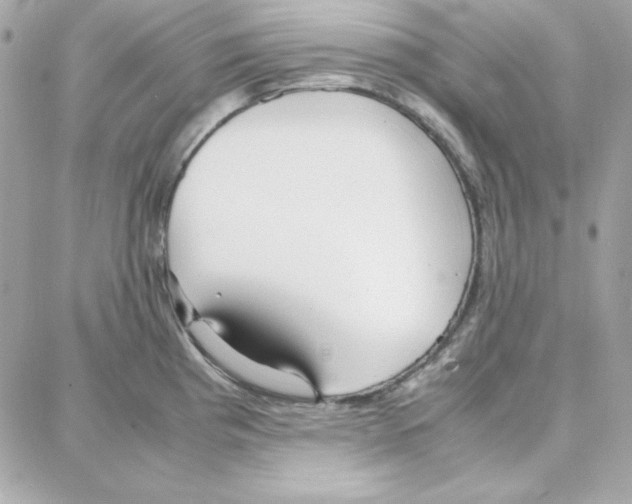 X0000087751193200706041054