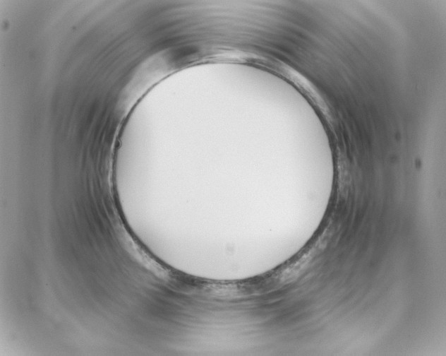 X0000087751194200706041054