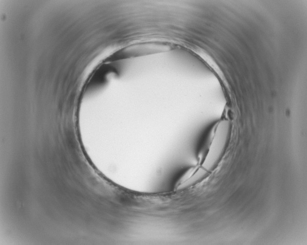 X0000087751197200706041054