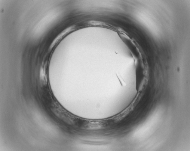 X0000087751198200706041054