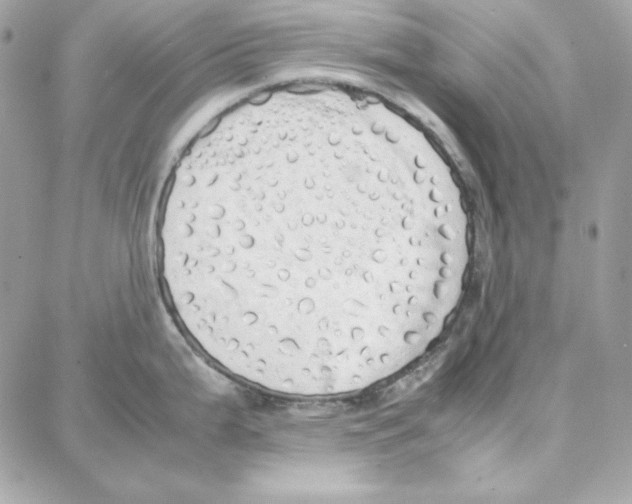 X0000087751199200706041054