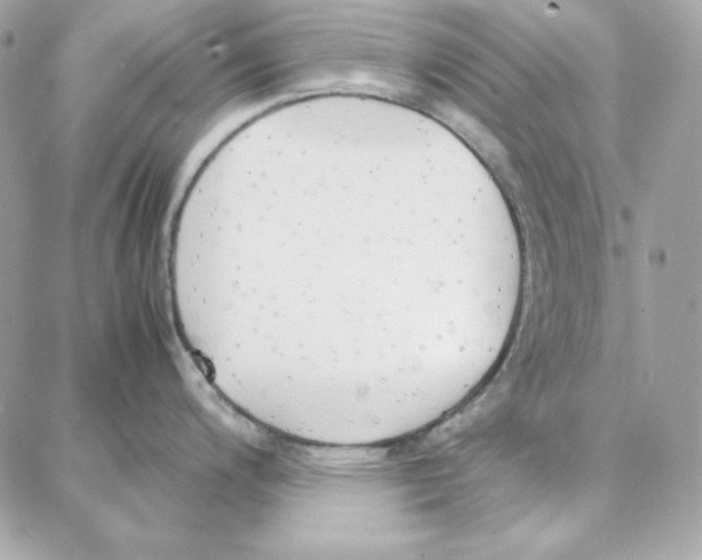 X0000087751200200706041054