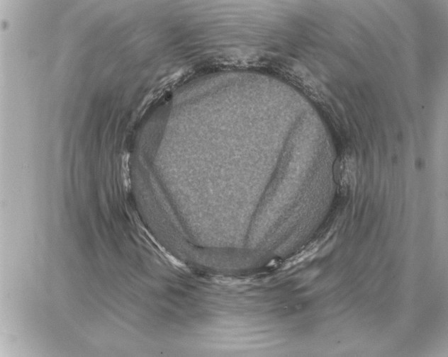 X0000087751202200706041053