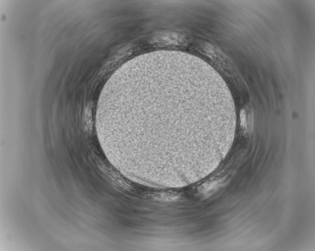 X0000087751203200706041053