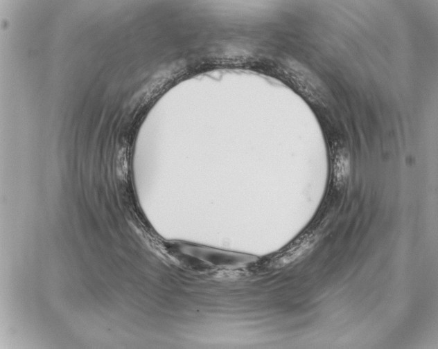 X0000087751204200706041053