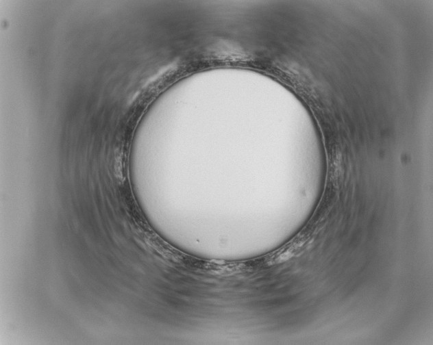 X0000087751205200706041053