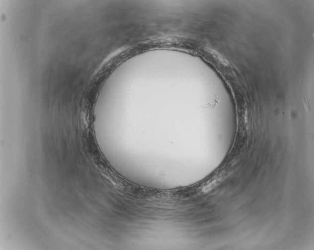 X0000087751206200706041053