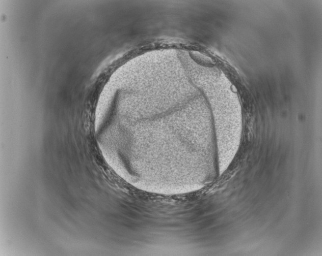 X0000087751207200706041053