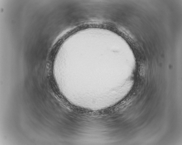 X0000087751208200706041053