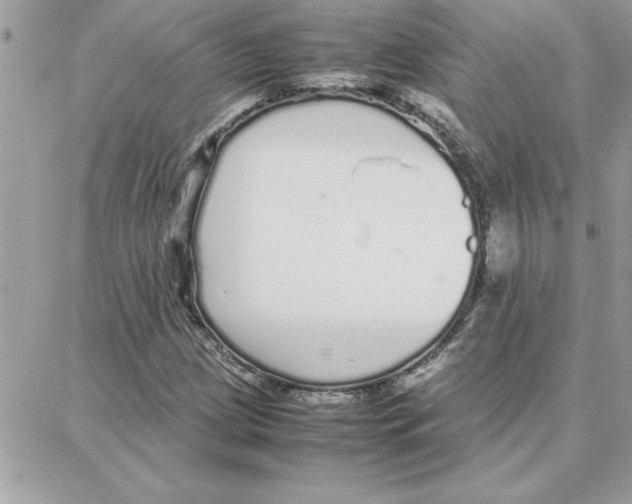 X0000087751209200706041053