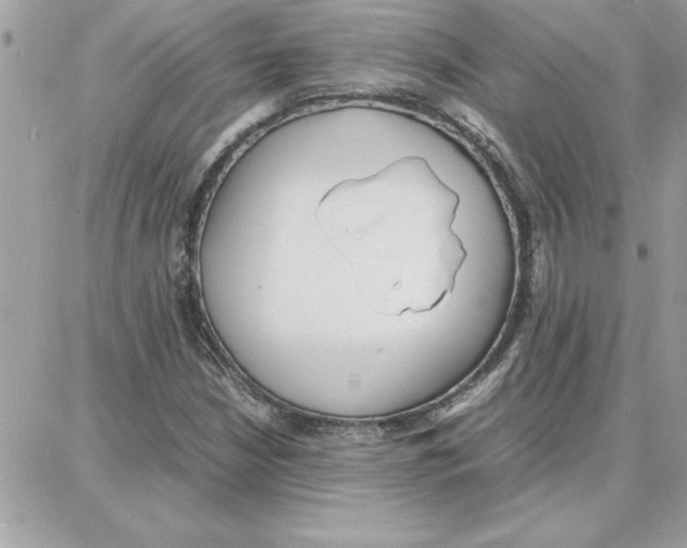 X0000087751210200706041053