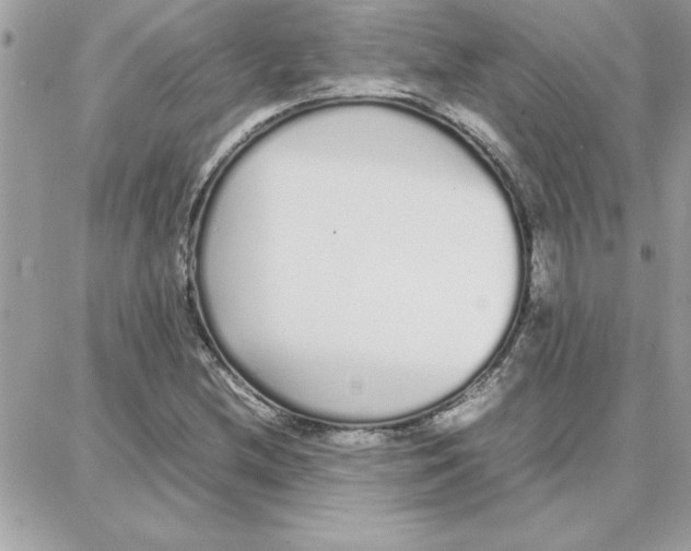 X0000087751212200706041053