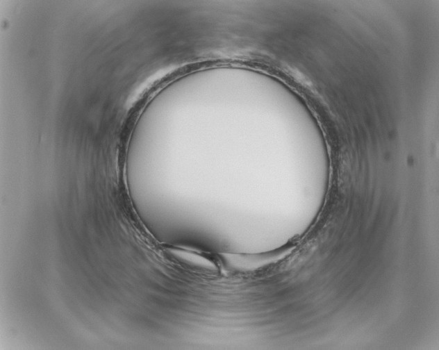 X0000087751214200706041053