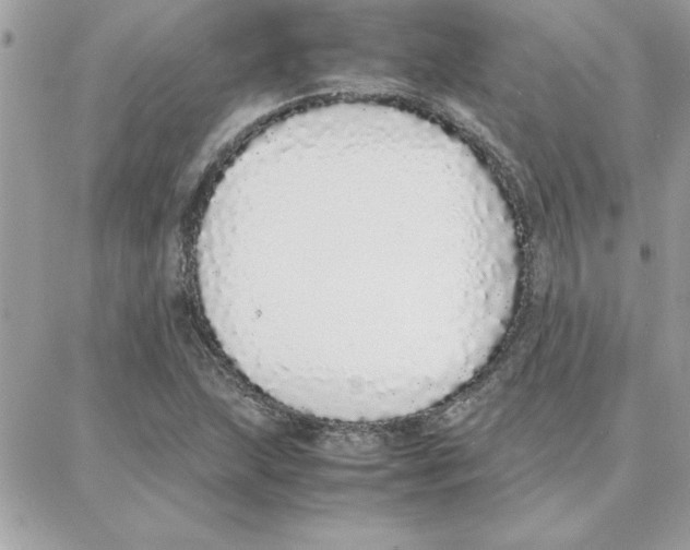 X0000087751215200706041053