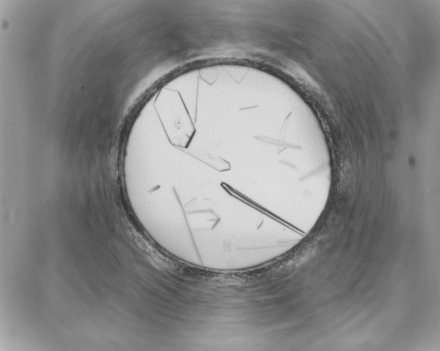 X0000087751216200706041053