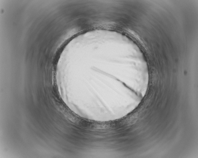 X0000087751219200706041053