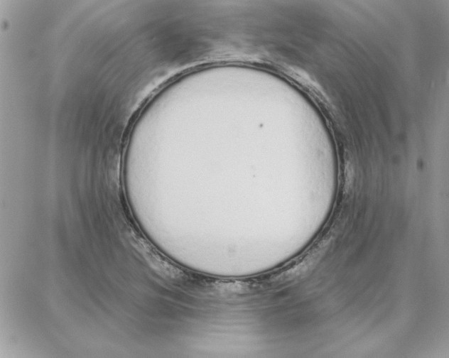 X0000087751220200706041053