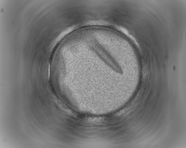 X0000087751221200706041053