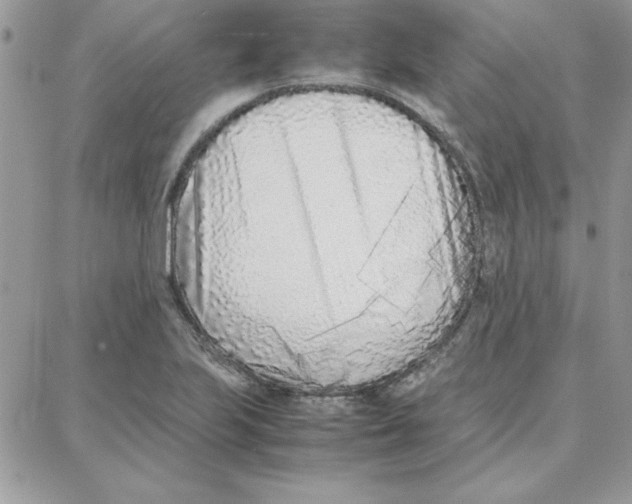 X0000087751223200706041053