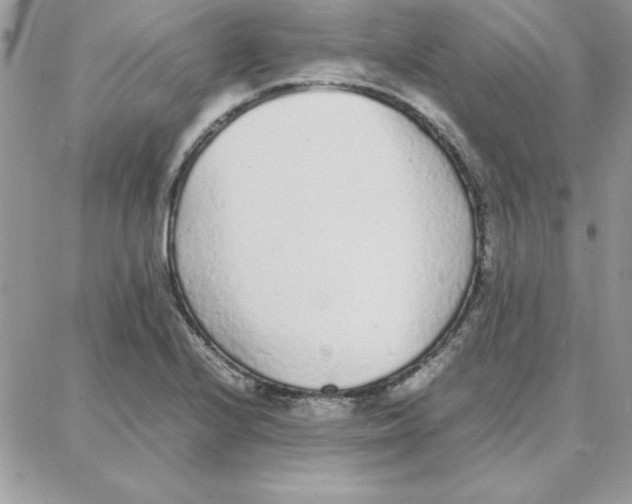 X0000087751224200706041053