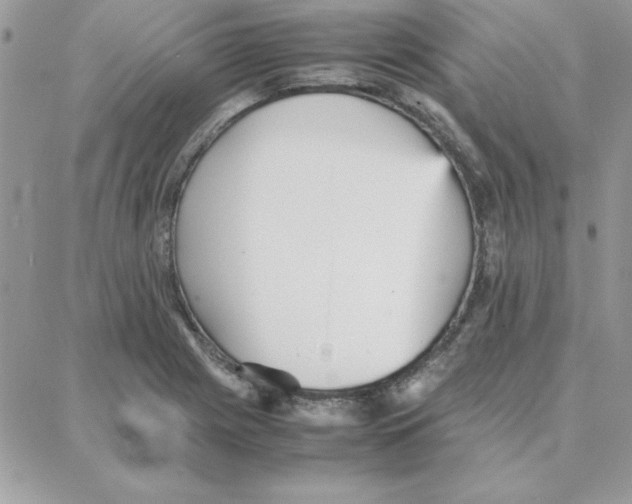 X0000087751225200706041053