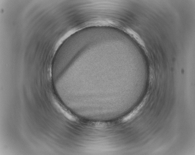 X0000087751226200706041053