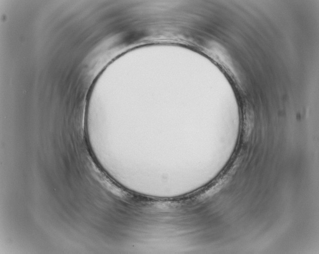 X0000087751228200706041053