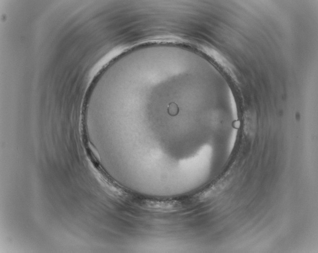 X0000087751229200706041053