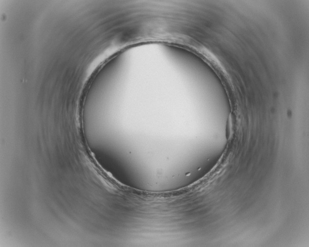 X0000087751230200706041053