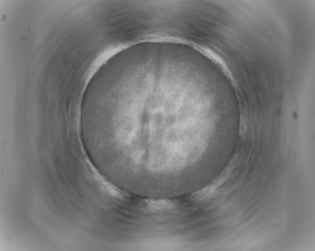 X0000087751231200706041053