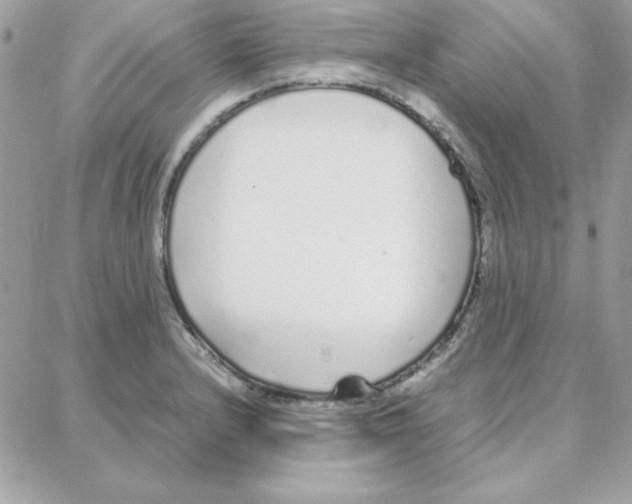 X0000087751232200706041053