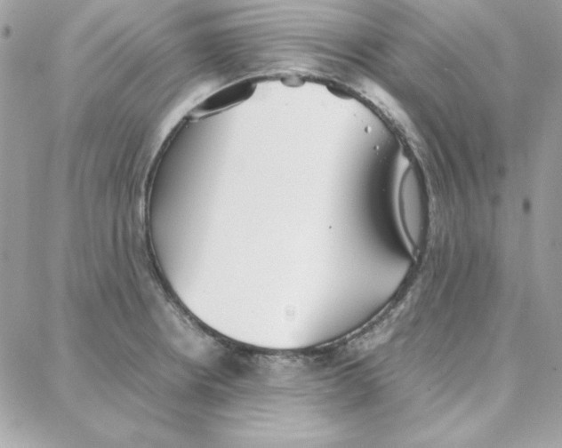 X0000087751234200706041053