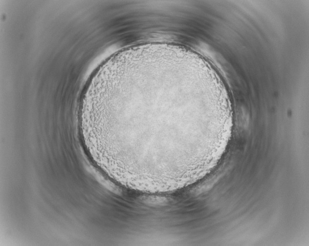 X0000087751235200706041053