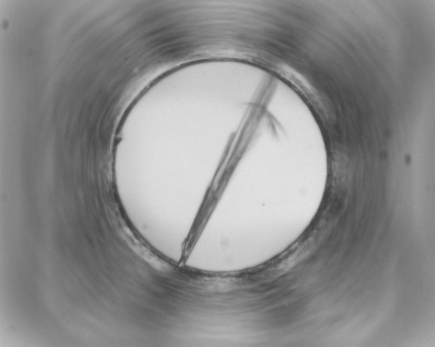 X0000087751236200706041053