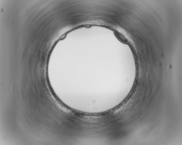 X0000087751237200706041053