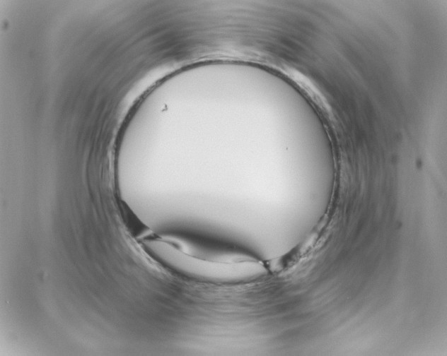 X0000087751238200706041053