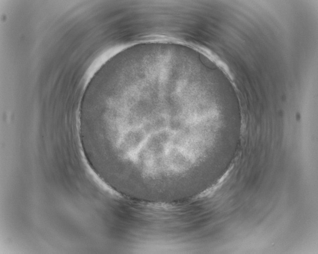 X0000087751239200706041053