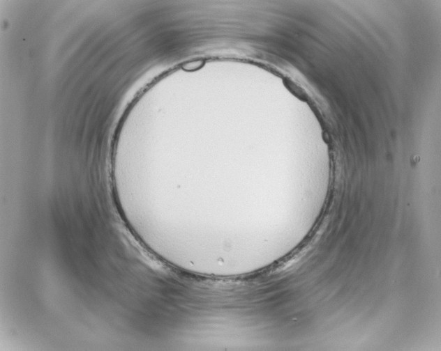 X0000087751240200706041053