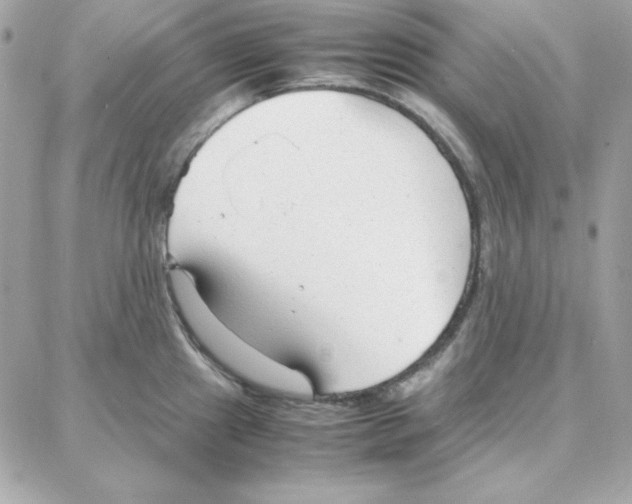 X0000087751241200706041054