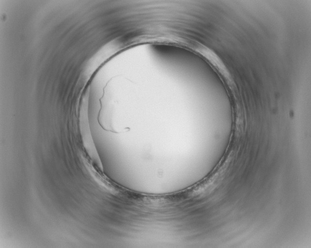 X0000087751242200706041054