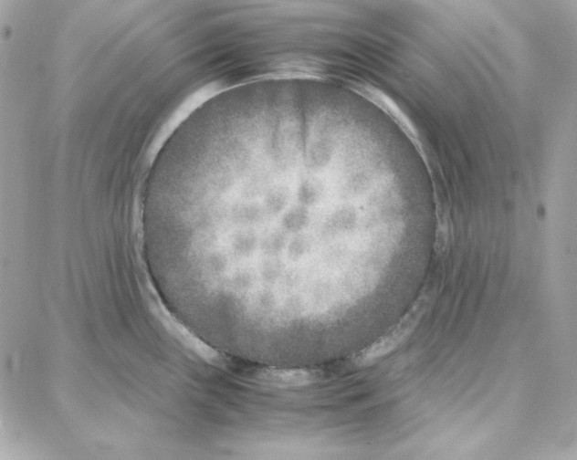 X0000087751243200706041054