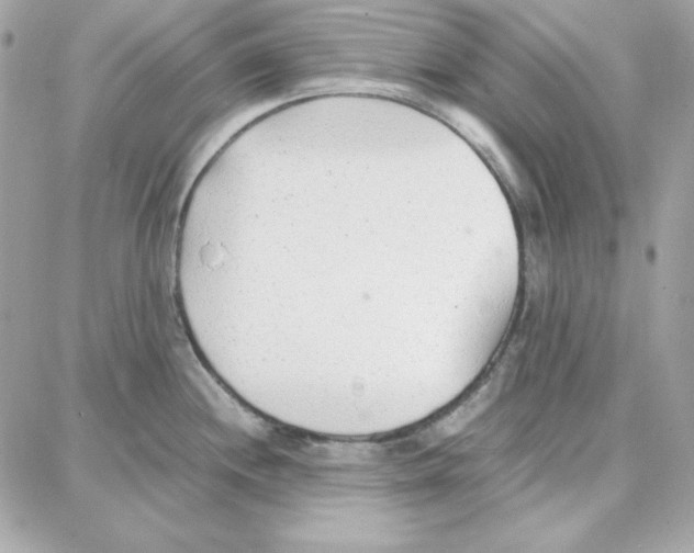 X0000087751244200706041054