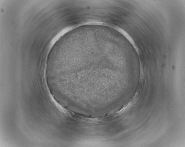 X0000087751245200706041054